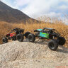 Краулер Axial Capra 1.9 Unlimited Trail Buggy